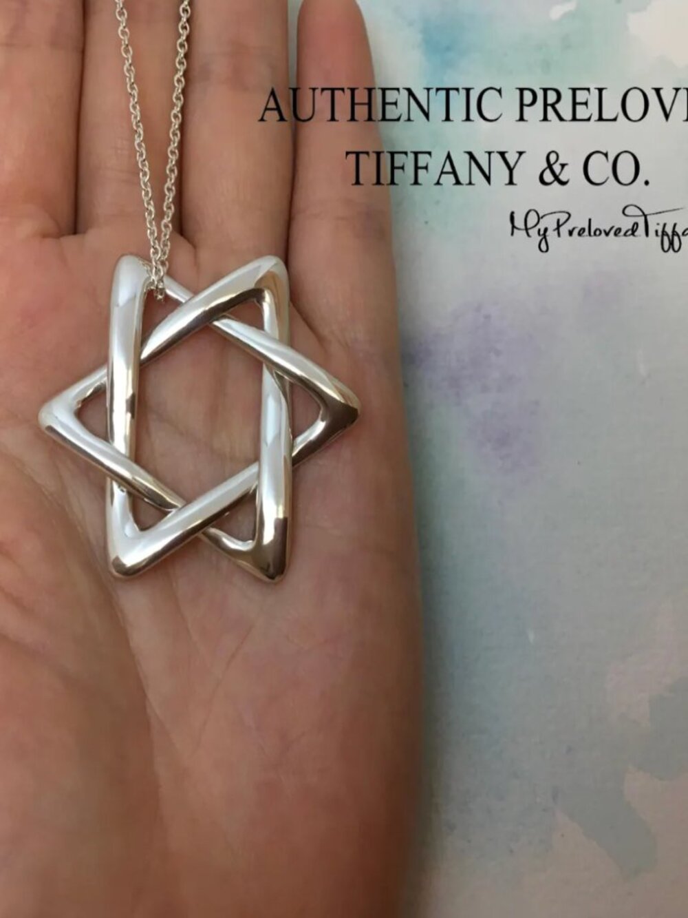EUC - Discontinued Elsa Peretti XL Star of David Sterling Long Original Chain